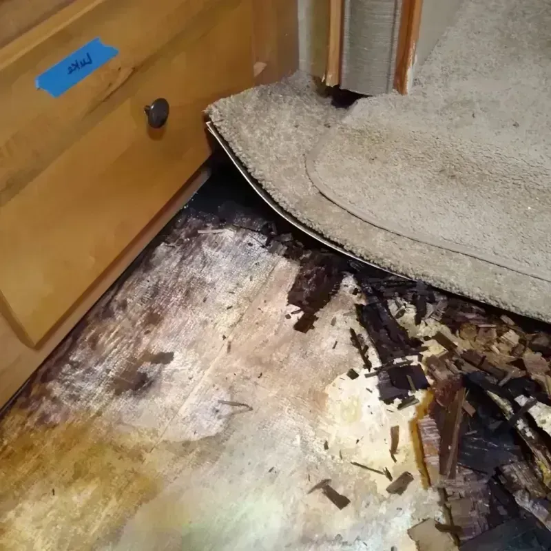 Wood Floor Water Damage in Lake County, FL